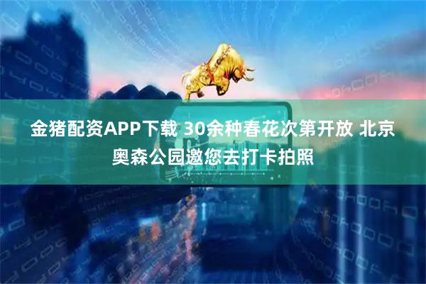 金猪配资APP下载 30余种春花次第开放 北京奥森公园邀您去打卡拍照