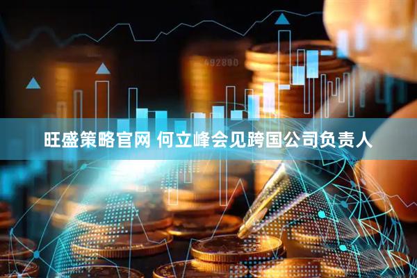 旺盛策略官网 何立峰会见跨国公司负责人