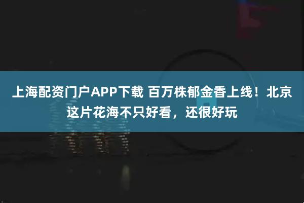 上海配资门户APP下载 百万株郁金香上线！北京这片花海不只好看，还很好玩