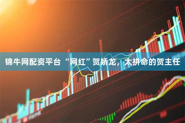 锦牛网配资平台 “网红”贺娇龙，太拼命的贺主任