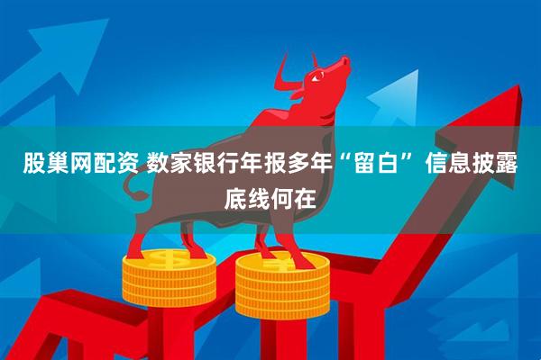 股巢网配资 数家银行年报多年“留白” 信息披露底线何在