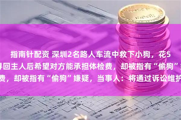 指南针配资 深圳2名路人车流中救下小狗，花580元给小狗做体检，寻回主人后希望对方能承担体检费，却被指有“偷狗”嫌疑，当事人：将通过诉讼维护名誉